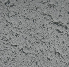 Textured paint finish for any of the buildings
